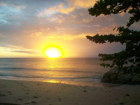 Coral Sands & Carib Edge, AC beach condos Eigentumswohnung in Barbados