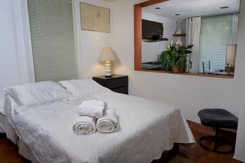 Suite 4A, Terraza, Garden House, Welcome to San Angel Apartment in Mexico City