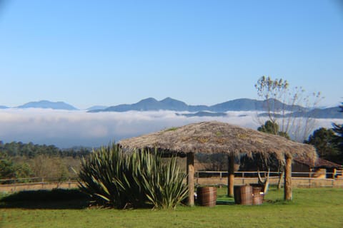 Patio, Natural landscape, Mountain view