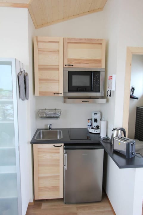 Kitchen or kitchenette, kitchen