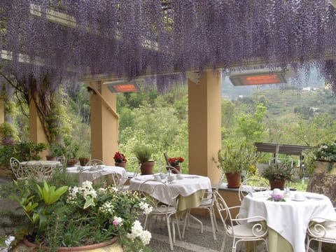 Balcony/Terrace, Buffet breakfast