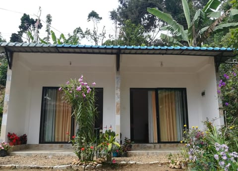 Property building, Day, Garden, Garden view