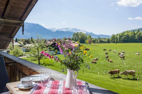 Lainthalerhof Farm Stay in Salzburgerland