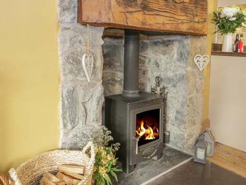 Castle Apartment Apartment in Wales