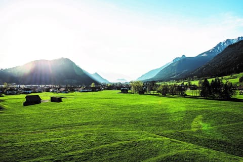 Property view