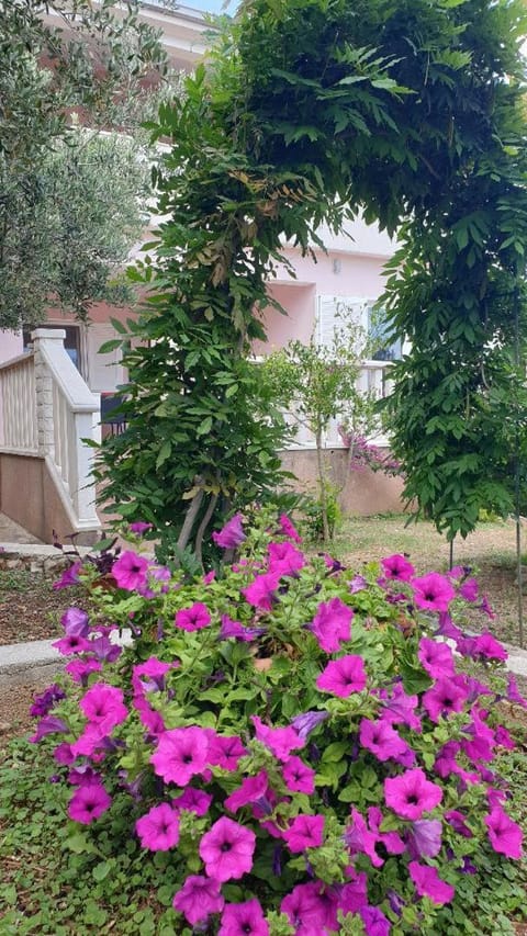 Property building, Garden view