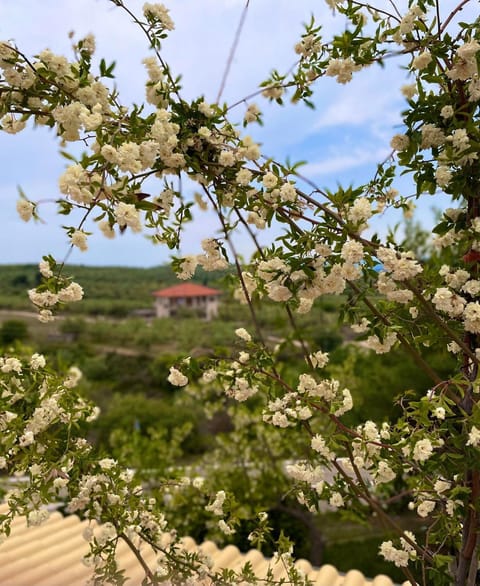 La Petite Planete Hotel in Argolis, Greece