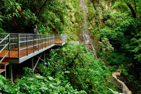 Valle Escondido Nature Reserve Hotel & Farm Hôtel in Monteverde