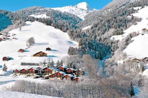 Bird's eye view, Winter