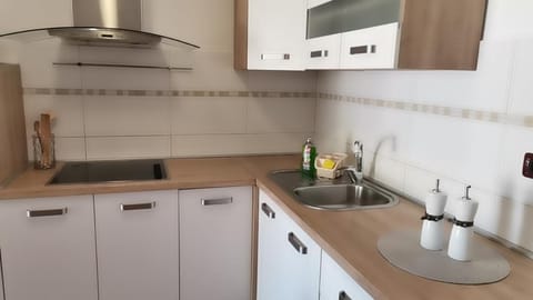 Renato Apartment in Istria County