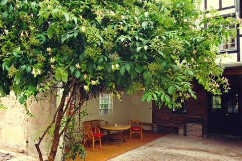 Ferienhaus Atelier House in Cochem-Zell