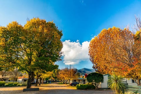 Discovery Parks - Mount Buffalo Campingplatz /
Wohnmobil-Resort in Porepunkah