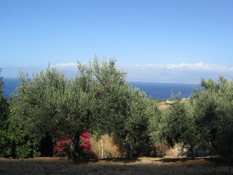 the ancient sicilian house near zingaro reserve Scopello House in Scopello, Trapani