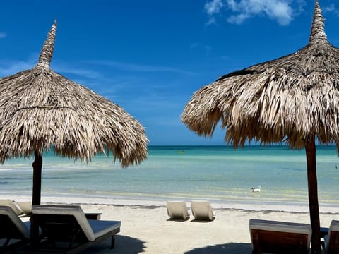 Beach, Sea view, sunbed