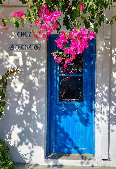 Chez Cécile Home Bed and Breakfast in Lasithi