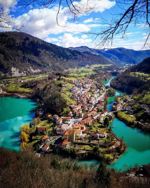 Neighbourhood, Natural landscape, Bird's eye view