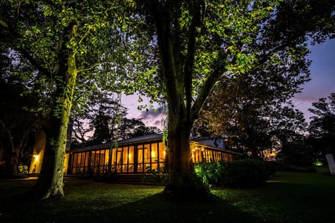 Property building, Night, Natural landscape, Garden view