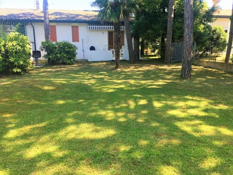 Patio, Garden, View (from property/room), Animals, Pets, Garden view