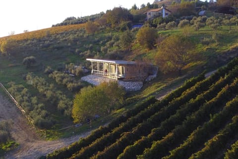 Natural landscape, Bird's eye view