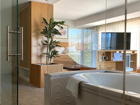 Shower, Toilet, Bed, Bird's eye view, Bathroom, TV and multimedia, Living room, Seating area, Bedroom, City view, City view, Mountain view, Mountain view, Bath