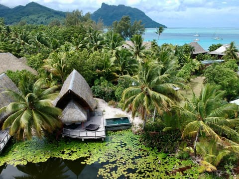 Maitai Lapita Village Huahine Hotel in French Polynesia