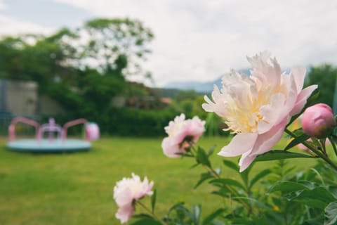 Spring, Day, Natural landscape