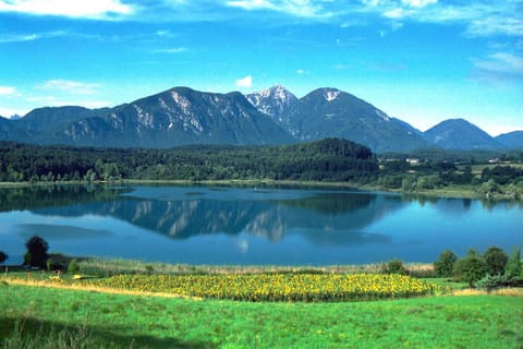 Nearby landmark, Neighbourhood, Natural landscape, Hiking