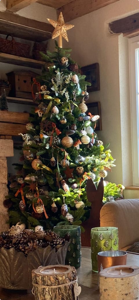 Le Montillon House in Centre-Val de Loire