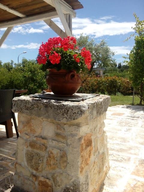 Trulli La collinetta House in Province of Taranto