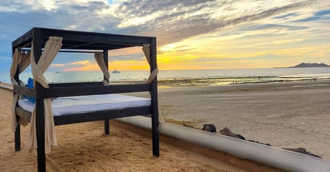 Natural landscape, Beach, Sunset