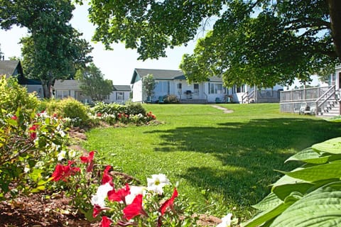Lakeview Lodge and Cottages House in Prince Edward County