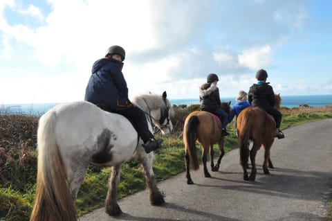 Natural landscape, Horse-riding