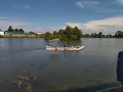 Day, People, Natural landscape, Activities, Lake view, group of guests