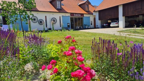 Property building, Garden