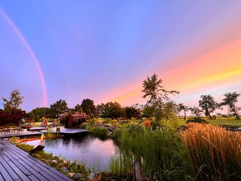 Natural landscape, Garden, Sunset