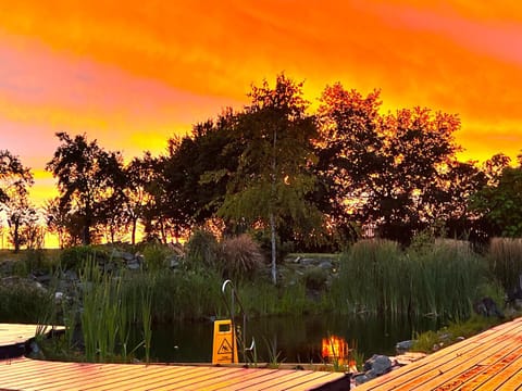 Garden, Sunset