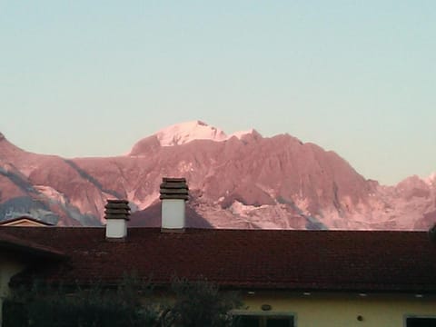 Merlo d'Oro Alojamiento y desayuno in Carrara