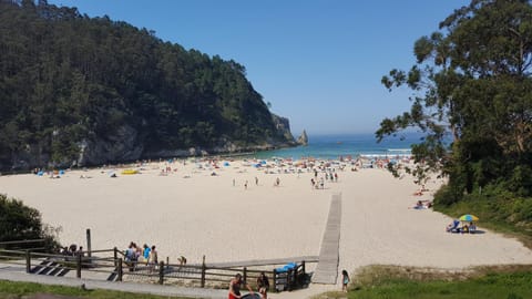 Nearby landmark, Beach