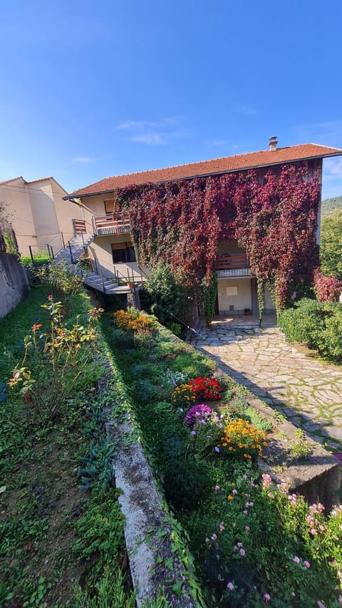 Property building, Garden view