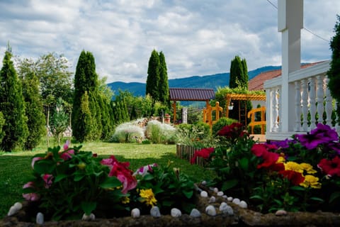 Natural landscape, Garden, Garden view