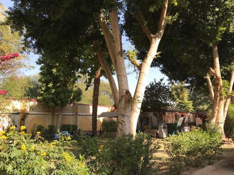 Rezeiky Hotel & Camp Campground/ 
RV Resort in Luxor