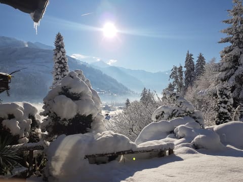 Appartement Weigl Apartment in Zell am Ziller