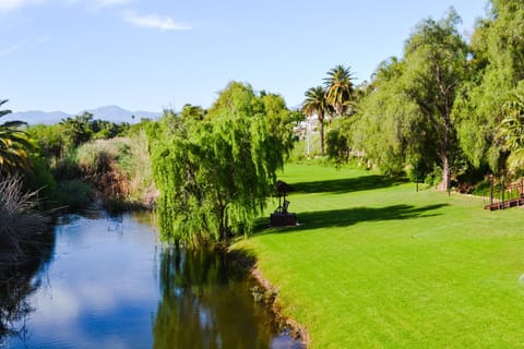 Natural landscape, Garden, River view