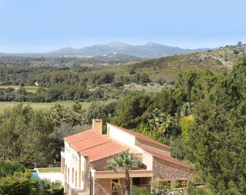 Property building, Bird's eye view