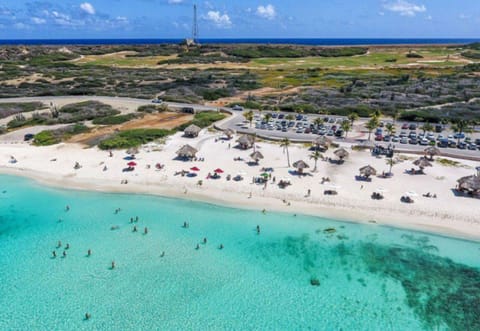 Caribbean Palm Village Resort Eigentumswohnung in Noord