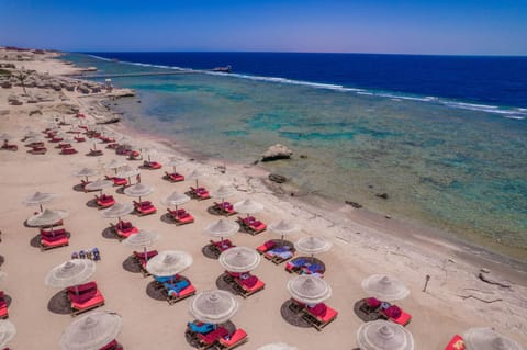 Charmillion Sea Life Resort Resort in Sharm El-Sheikh