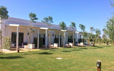 Property building, Patio, Garden, Garden view