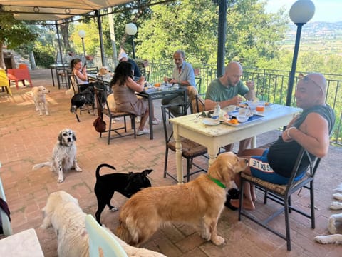 SetterHouseAgriHotel Farm Stay in Trevi