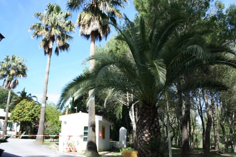 Lobby or reception, Area and facilities