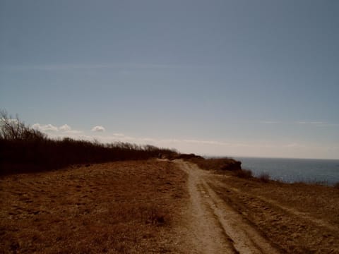Ferienhäuschen House in Mecklenburg-Vorpommern, Germany
